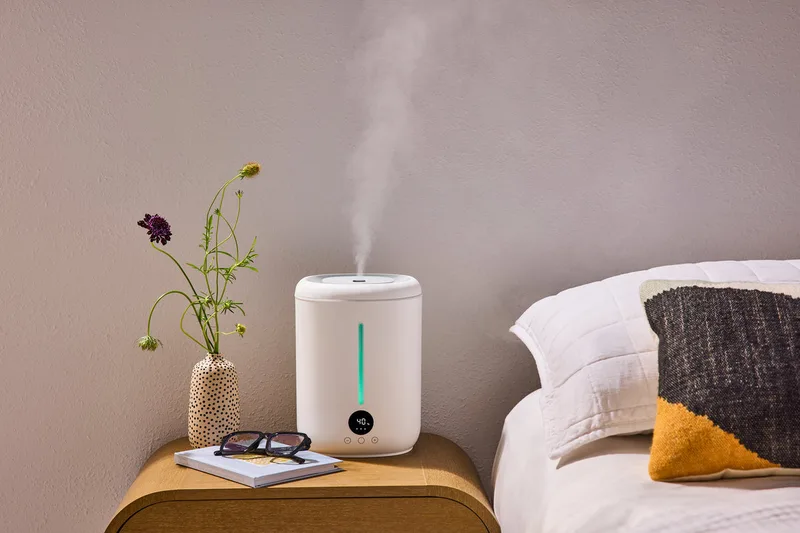 Molekule Air Mini