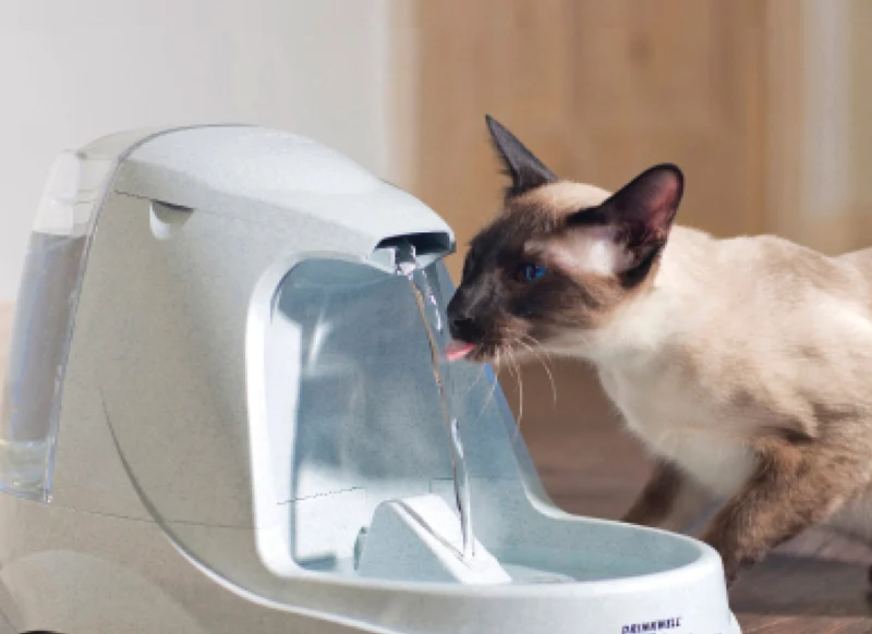 PetSafe Drinkwell Platinum Pet Fountain