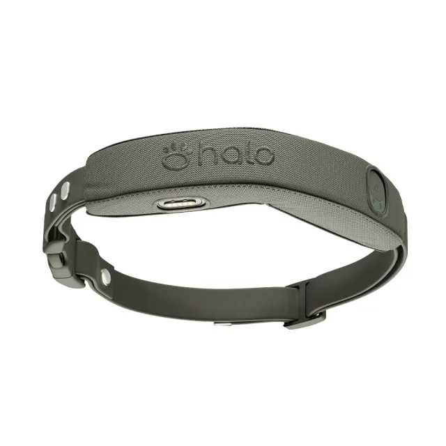 Halo Collar 5